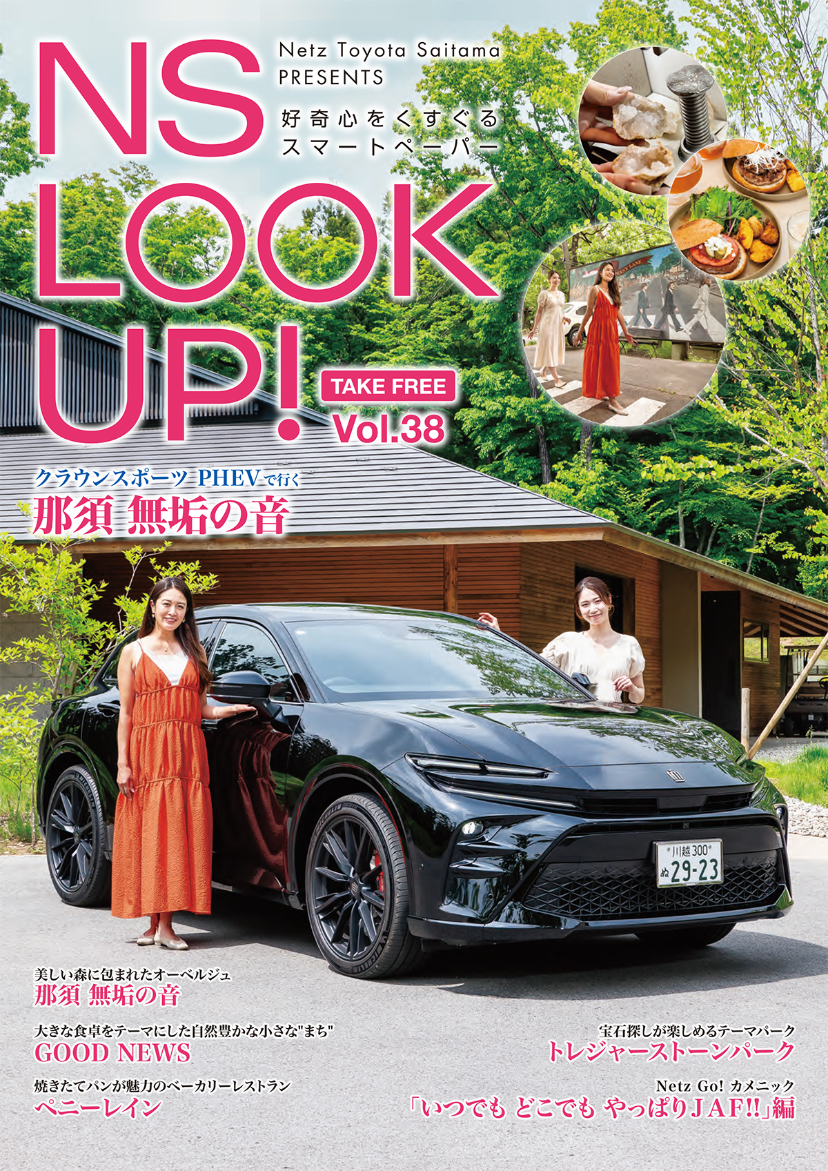 NS LOOKUP! 2024 Vol.38